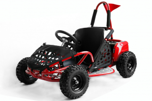 NITRO MOTORS 1000W Eco midi Kinder Buggy Gokid PRM 6 Zoll