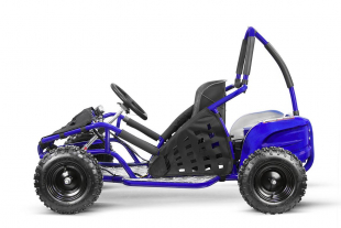 NITRO MOTORS 1000W Eco midi Kinder Buggy Gokid PRM 6 Zoll