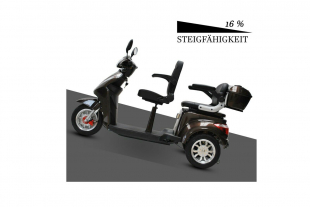 ECO ENGEL 503 Braun, Elektromobil 1000 Watt, 25 km/h