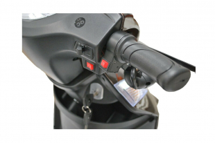 ECO ENGEL 503 Braun, Elektromobil 1000 Watt, 25 km/h