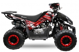 NITRO MOTORS 125cc midi Kinder Quad Rizzo RS7-A Platin