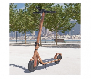 Viron Elektro Scooter mit Stra�enzulassung ABE Aluminium eKFV Zulassung