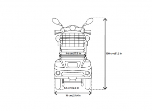VELECO ZT15 Seniorenmobil 3-Rad 900W, 12 Km/h Blau