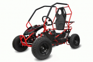 NITRO MOTORS 1000W Eco midi Kinder Buggy Racer PRM 6