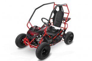 NITRO MOTORS 1000W Eco midi Kinder Buggy Racer PRM 6