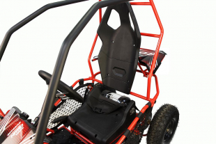 NITRO MOTORS 1000W Eco midi Kinder Buggy Racer PRM 6