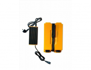 Elektroroller EAGLE Li, 2000 Watt, E-Roller, Lithium-Akku