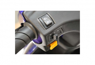 ECO Engel 500 Blau, 1000 Watt, 25 km/h