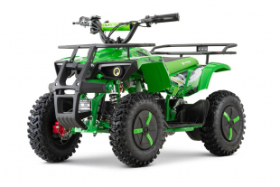 NITRO MOTORS 1000W Eco mini Kinder Quad Dusty Snowy-Profile L