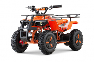 NITRO MOTORS 1000W Eco mini Kinder Quad Dusty Snowy-Profile L