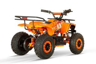 NITRO MOTORS 1200W Eco mini Kinder Quad Dusty BTF profile XL Sport