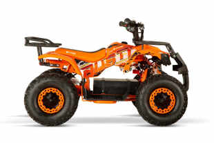 NITRO MOTORS 1200W Eco mini Kinder Quad Dusty BTF profile XL Sport