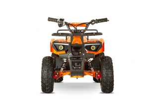 NITRO MOTORS 1200W Eco mini Kinder Quad Dusty BTF profile XL Sport