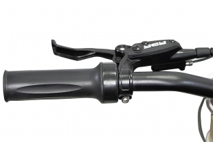 NITRO MOTORS E-Dirtbike 1300W Tiger Lithium 13Ah 14/12