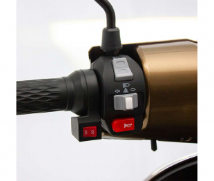 ECO ENGEL 506 Braun, 20 Ah Li-Io Akku, 25 km/h, 1000 Watt