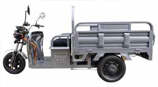 Elektro-Lastendreirad 'CargoCruiser Li' 25/45 km/h, Lithium-Akku