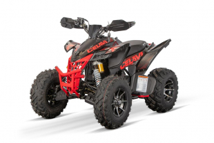NITRO MOTORS 250cc maxi Quad Celavi RS10 4-Gang Manuell