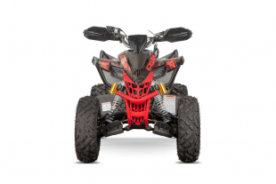 NITRO MOTORS 250cc maxi Quad Celavi RS10 4-Gang Manuell