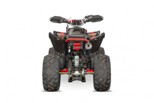 NITRO MOTORS 250cc maxi Quad Celavi RS10 4-Gang Manuell