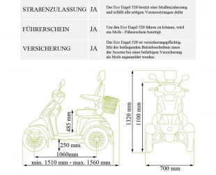ECO ENGEL 525 Rot, 1000 Watt, 20Ah Li-Io Akku Herausnehmbar