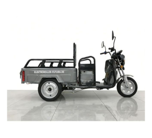 E-Mobil Little Rhino Li, 72V/20 Ah Lithium-Akku