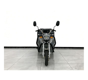 E-Mobil Little Rhino Li, 72V/20 Ah Lithium-Akku