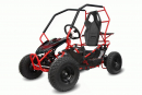 NITRO MOTORS 1000W Eco midi Kinder Buggy Racer PRM 6