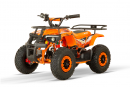 NITRO MOTORS 1200W Eco mini Kinder Quad Dusty BTF profile XL Sport
